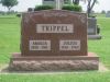 Trippel,_Amalia_and_Julius.jpg