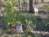 Jackson_cemetary_view_5.JPG