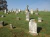 Schuster_Family_plot_Section_G_Rows_5-6.jpg